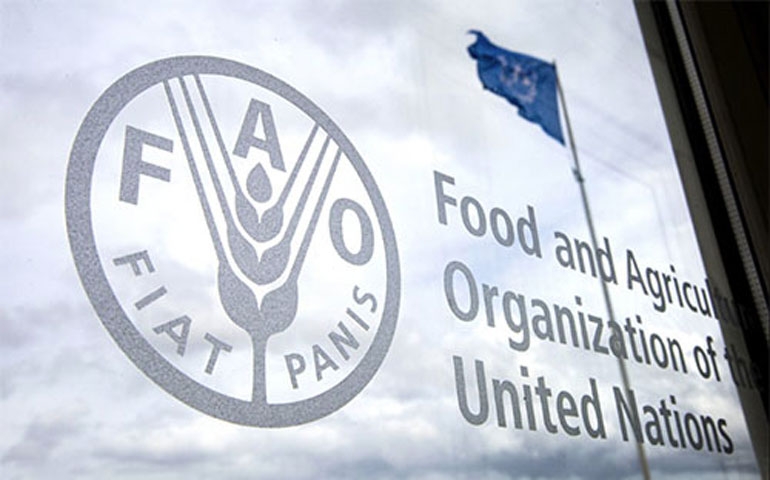 72 ألف عائلة في الضفة الغربية المحتلة بحاجة ماسة لمساعدات طارئة